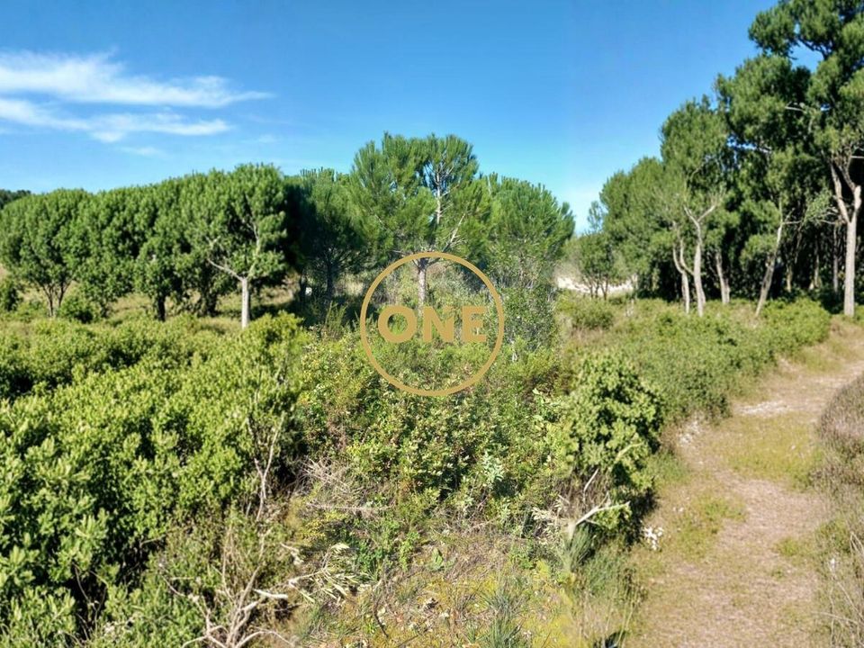 Helårsgrund i Torres Novas, Santarem - foto 5