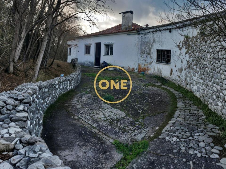 Farm i Torres Novas, Santarem - foto 3