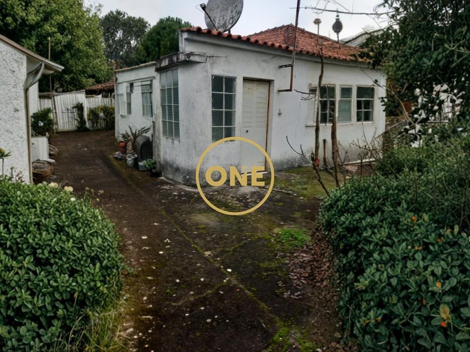 Farm i Torres Novas, Santarem - foto 4