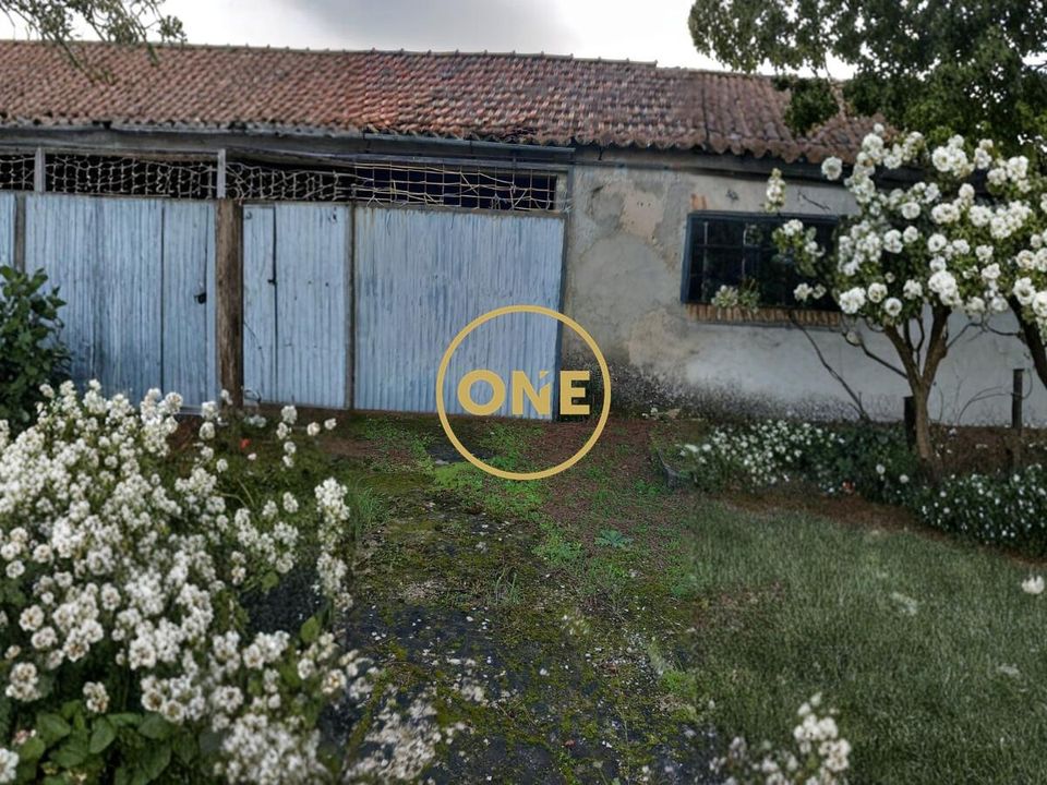 Farm i Torres Novas, Santarem - foto 5