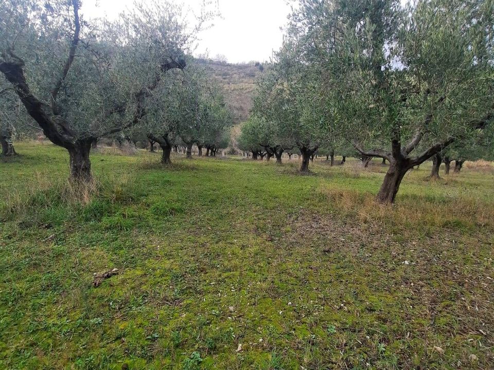 Helårsgrund i Lapedona, Fermo - foto 1