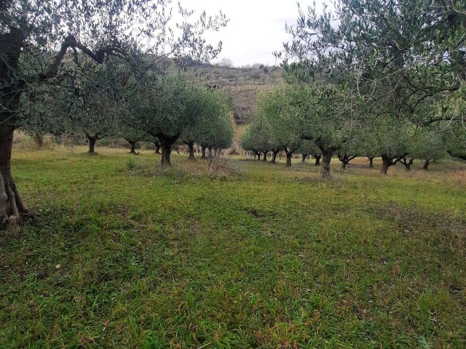 Helårsgrund i Lapedona, Fermo - foto 2