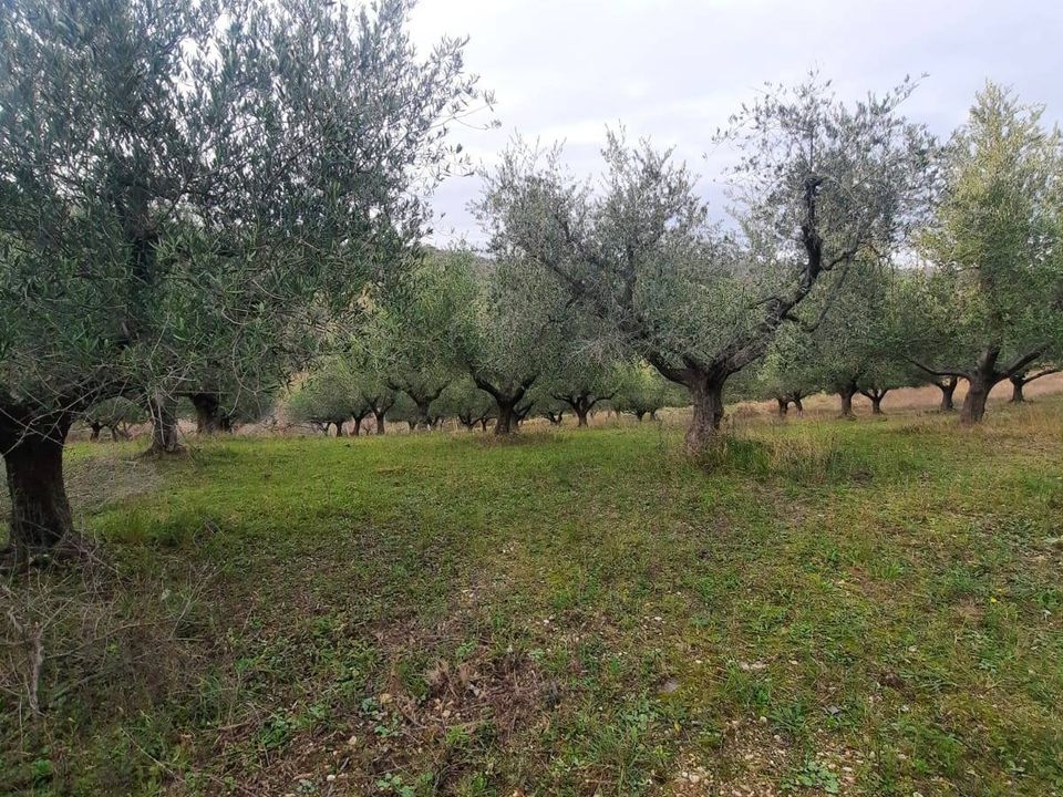 Helårsgrund i Lapedona, Fermo - foto 4