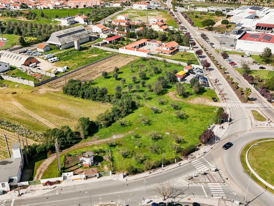 Helårsgrund i Golega, Santarem - foto 4