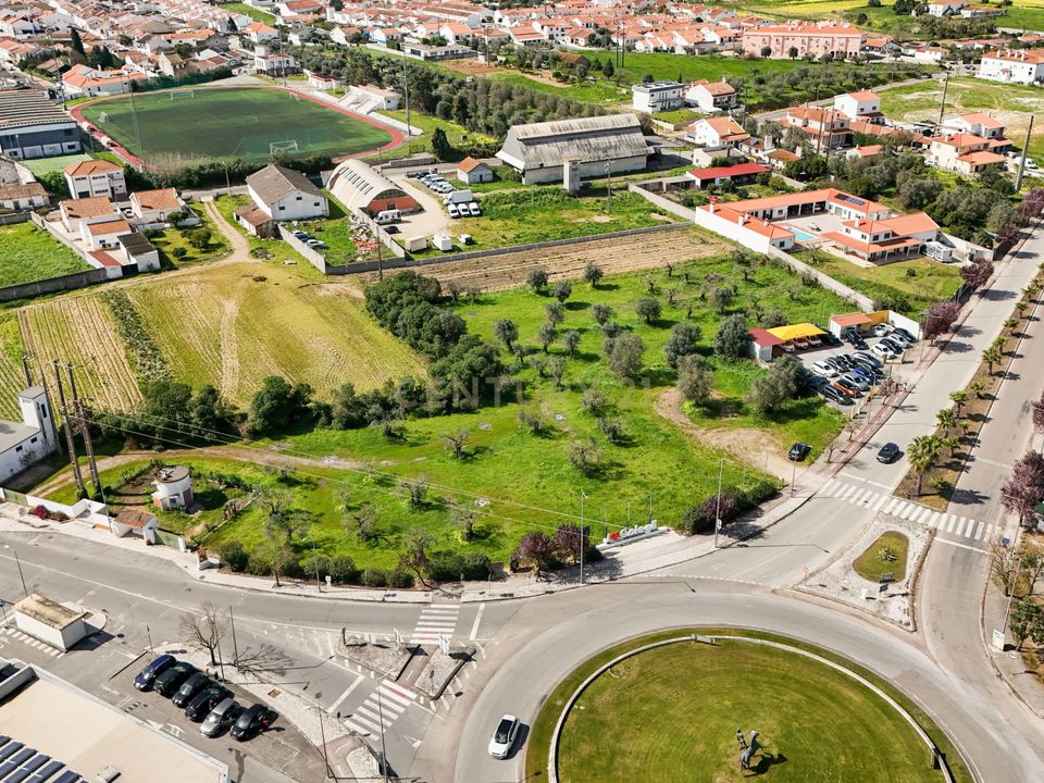 Helårsgrund i Golega, Santarem - foto 5