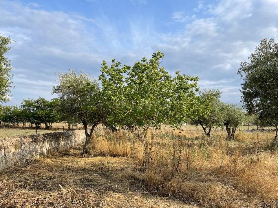 Helårsgrund i Santa Eulalia, Portalegre - foto 1