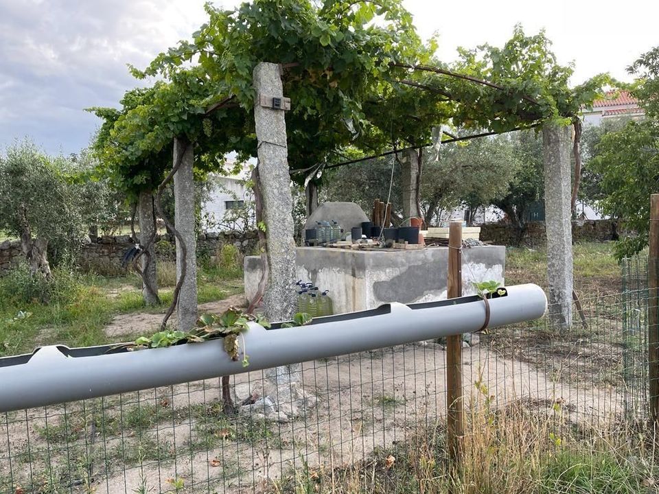 Helårsgrund i Santa Eulalia, Portalegre - foto 5