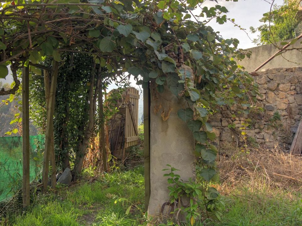 Landejendom i Malaussène, Alpes-Maritimes - foto 4