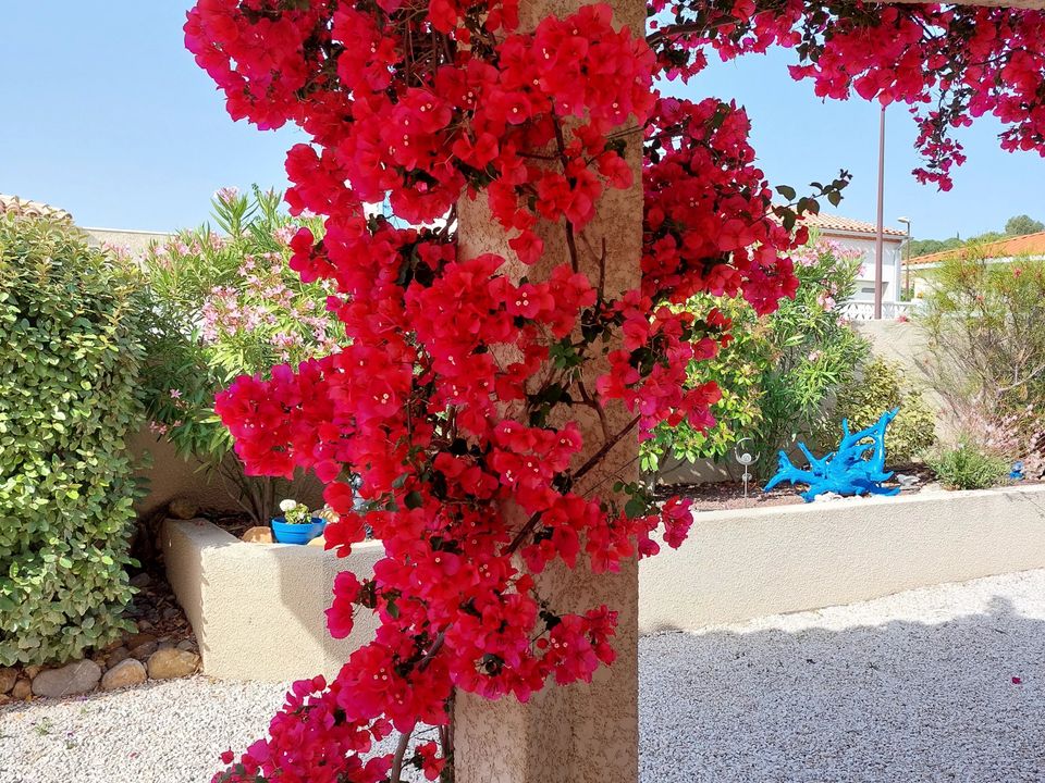 Villa i La Palme, Aude - foto 2