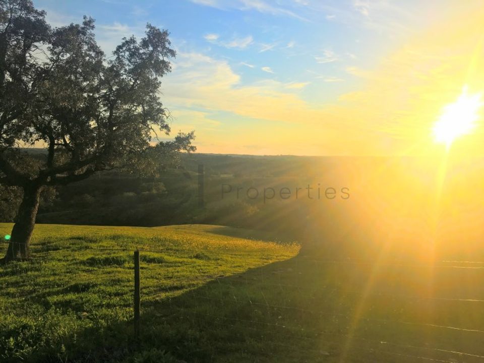 Landejendom i Vila Nova de Sao Bento e Vale de Vargo, Beja - foto 2