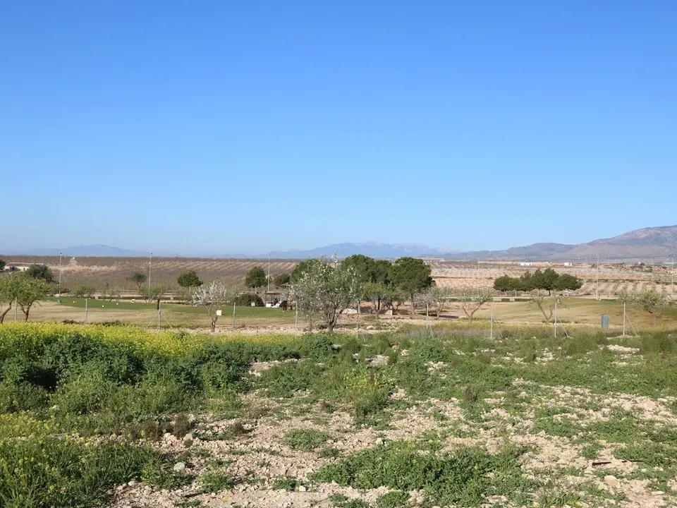 Helårsgrund i Hacienda del Alamo, Murcia - foto 1