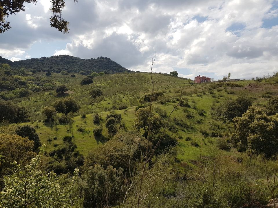 Helårsgrund i Guadix, Granada - foto 5