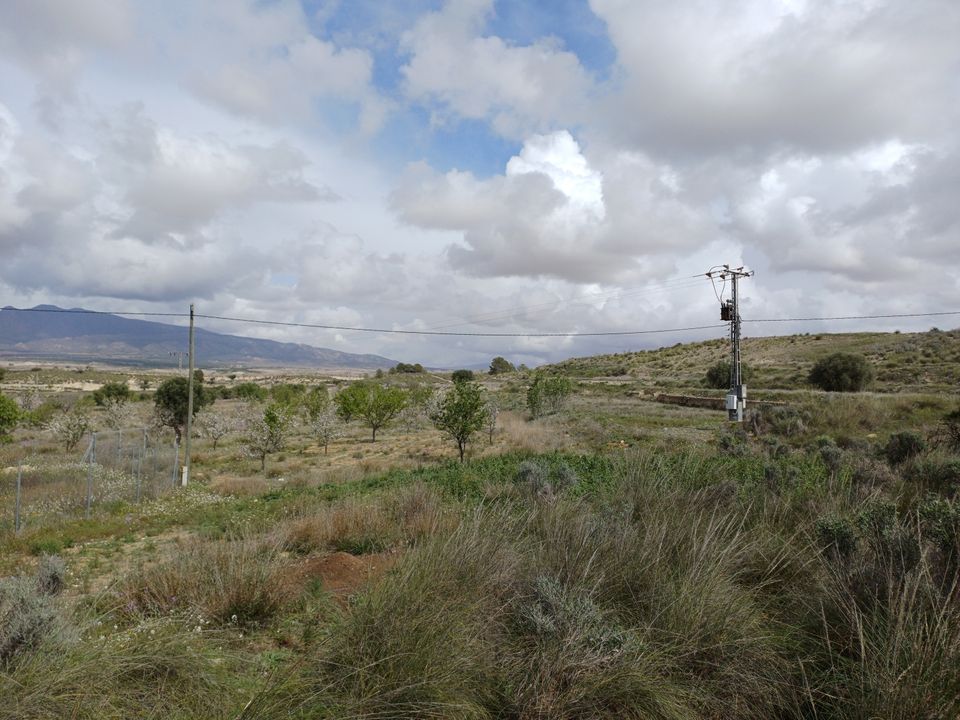 Masia a La Zarza, Murcia - foto 2