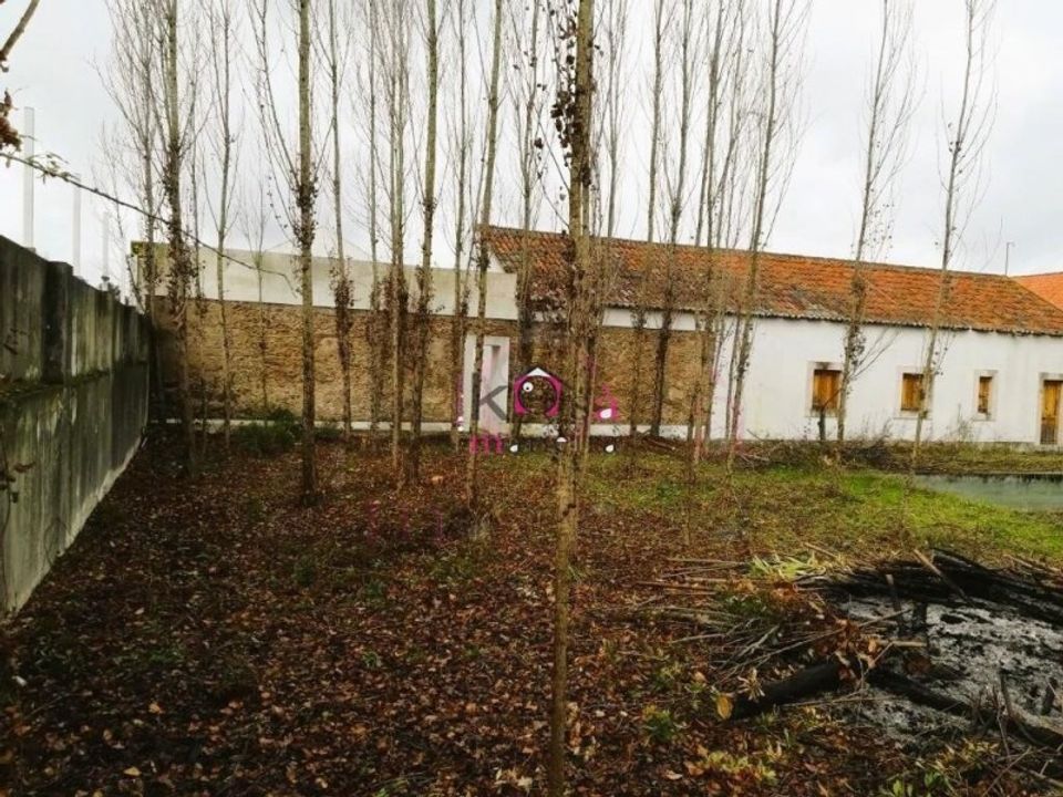Villa i Constancia, Santarem - foto 4