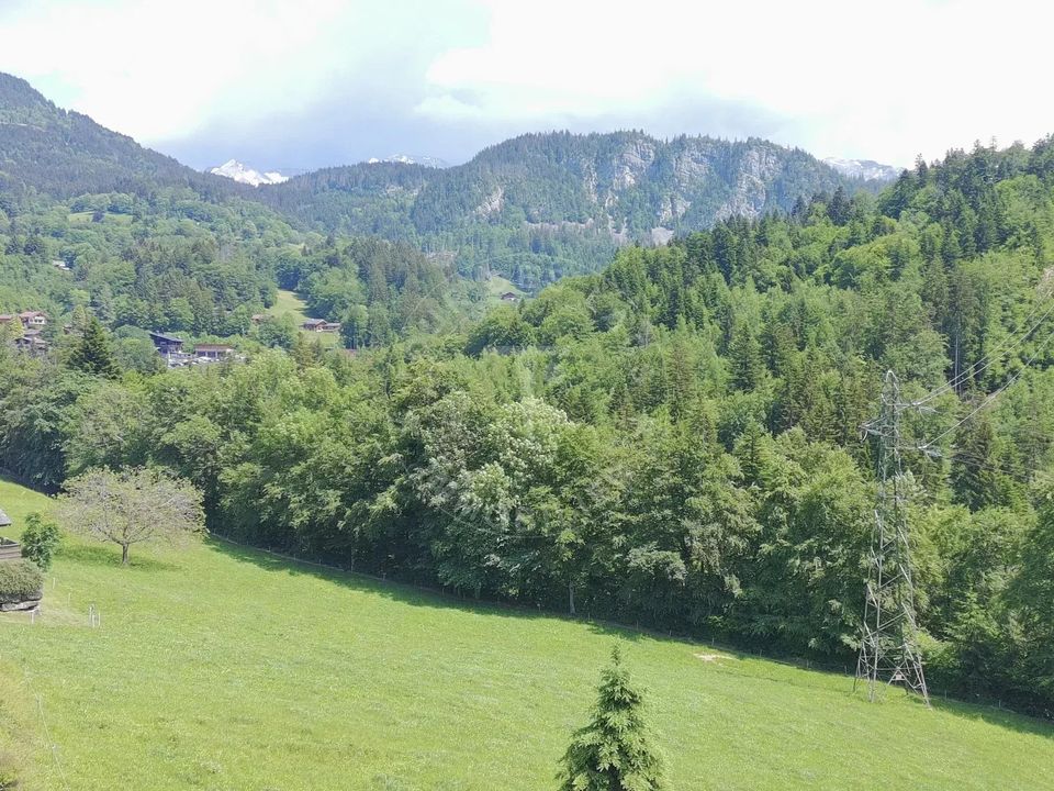 Træhytte i Saint-Jean-de-Sixt, Haute-Savoie - foto 3