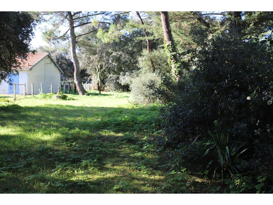 Helårsgrund i Saint-Georges-d'Oleron, Charente-Maritime - foto 1