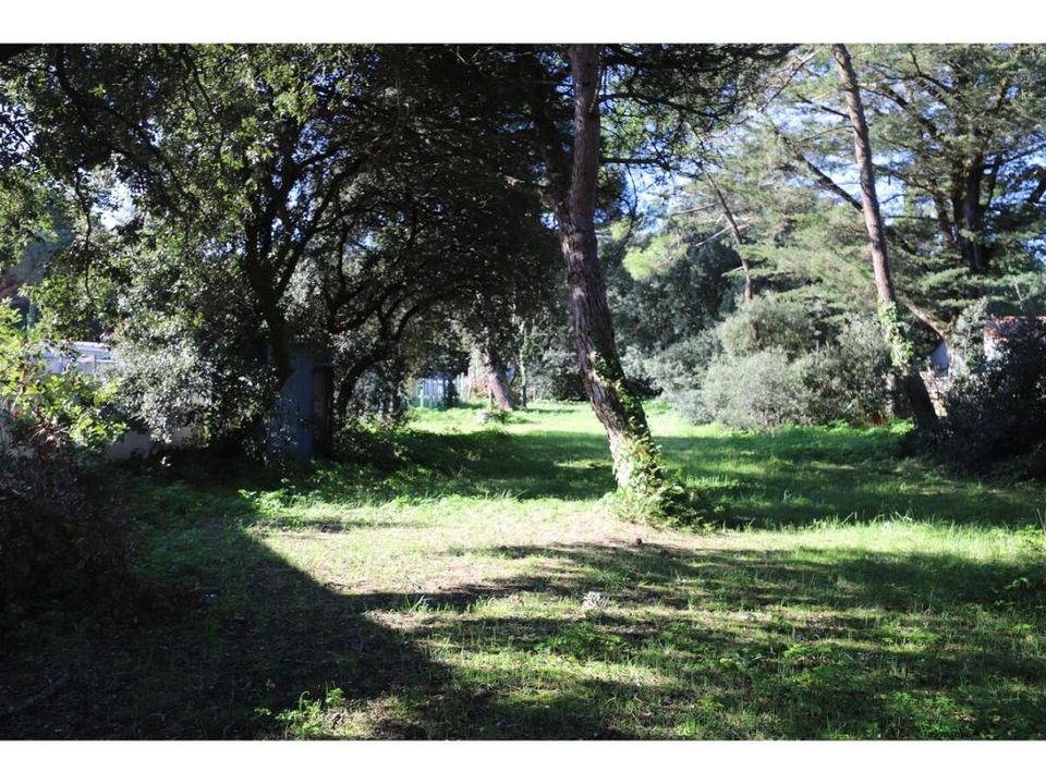 Helårsgrund i Saint-Georges-d'Oleron, Charente-Maritime - foto 2