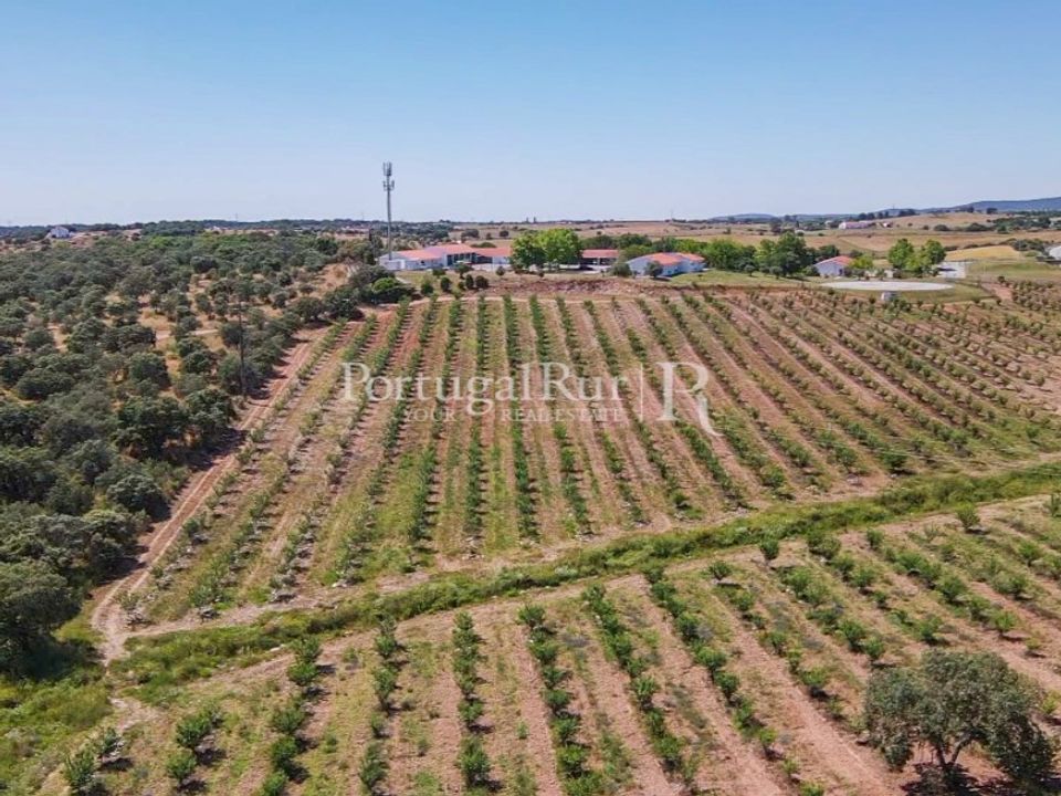 Helårsgrund i Estremoz, Evora - foto 1