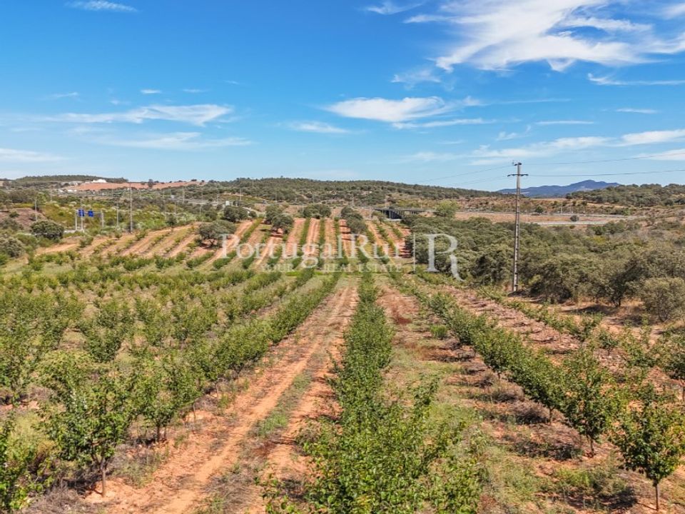 Helårsgrund i Estremoz, Evora - foto 2