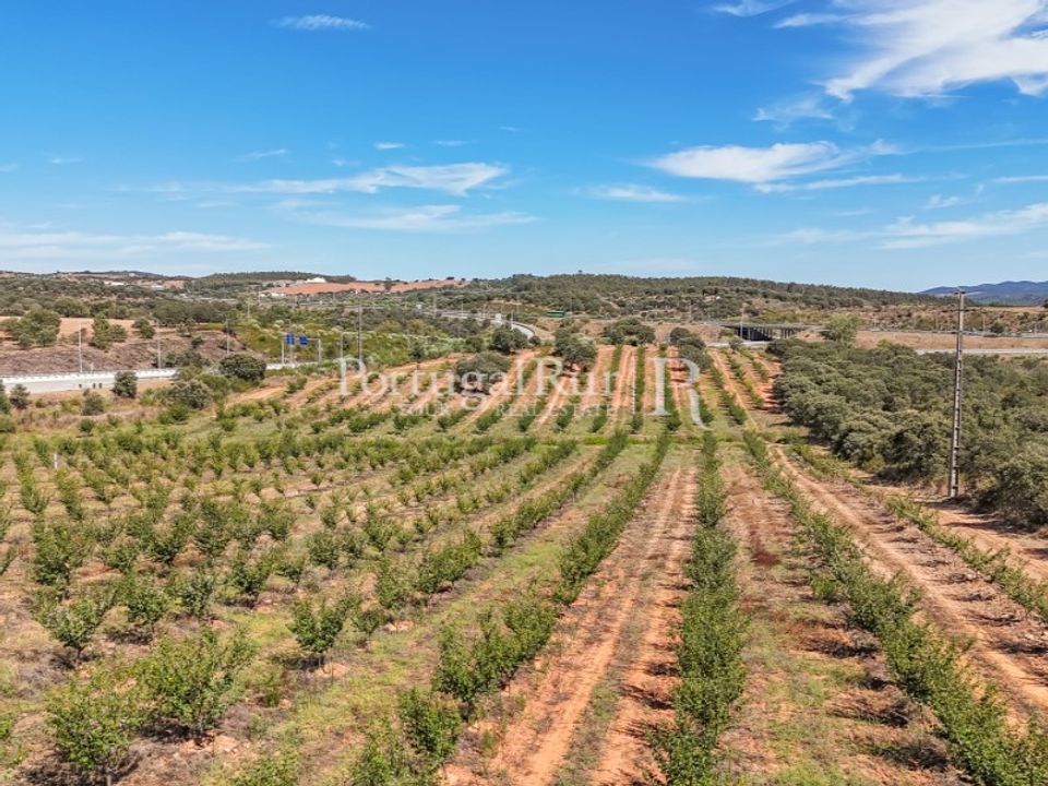 Helårsgrund i Estremoz, Evora - foto 3