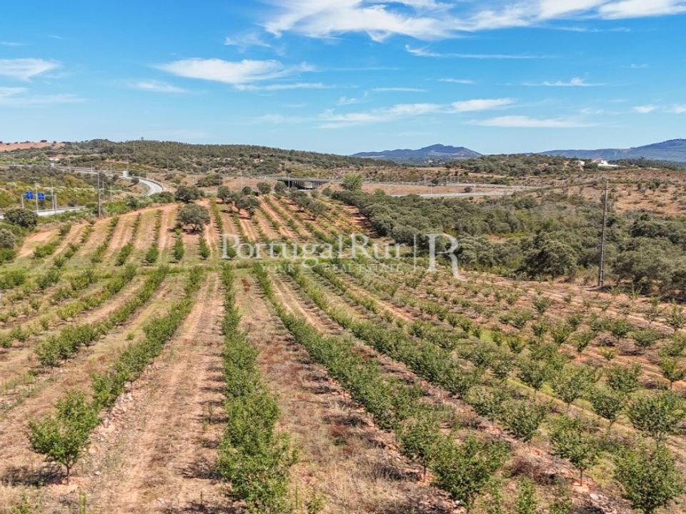 Helårsgrund i Estremoz, Evora - foto 4