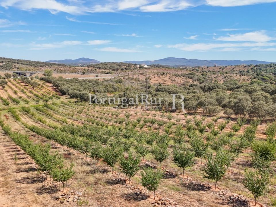 Helårsgrund i Estremoz, Evora - foto 5