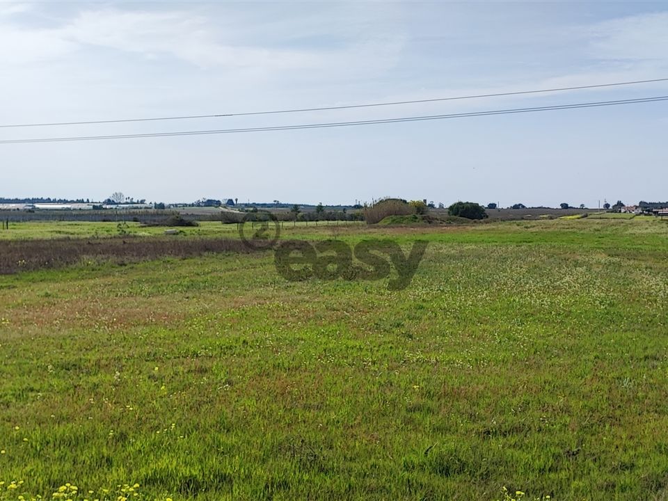Helårsgrund i Montijo, Setubal - foto 1