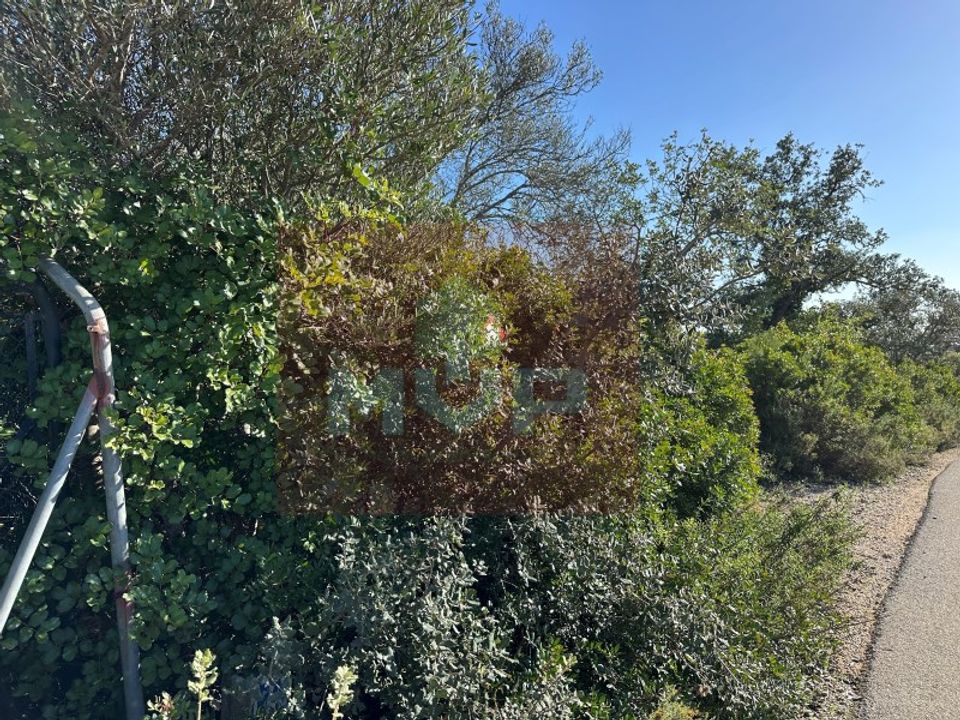 Helårsgrund i Estoi, Faro - foto 3