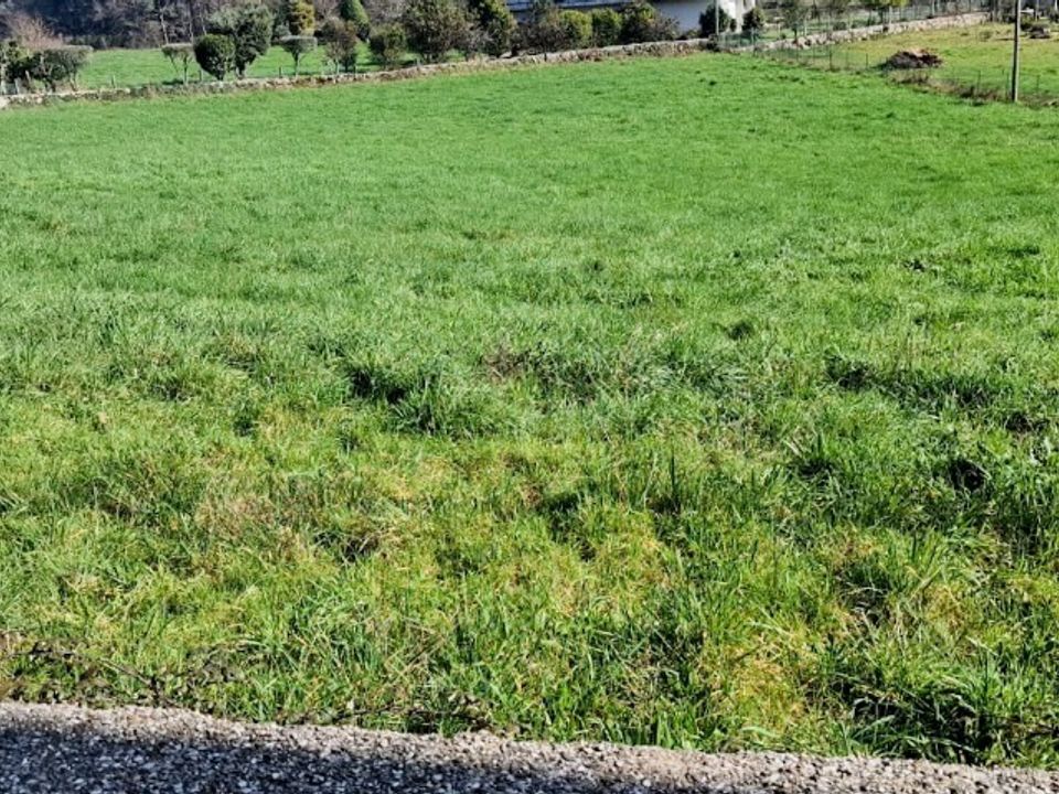 Helårsgrund i Povoa de Lanhoso, Braga - foto 3