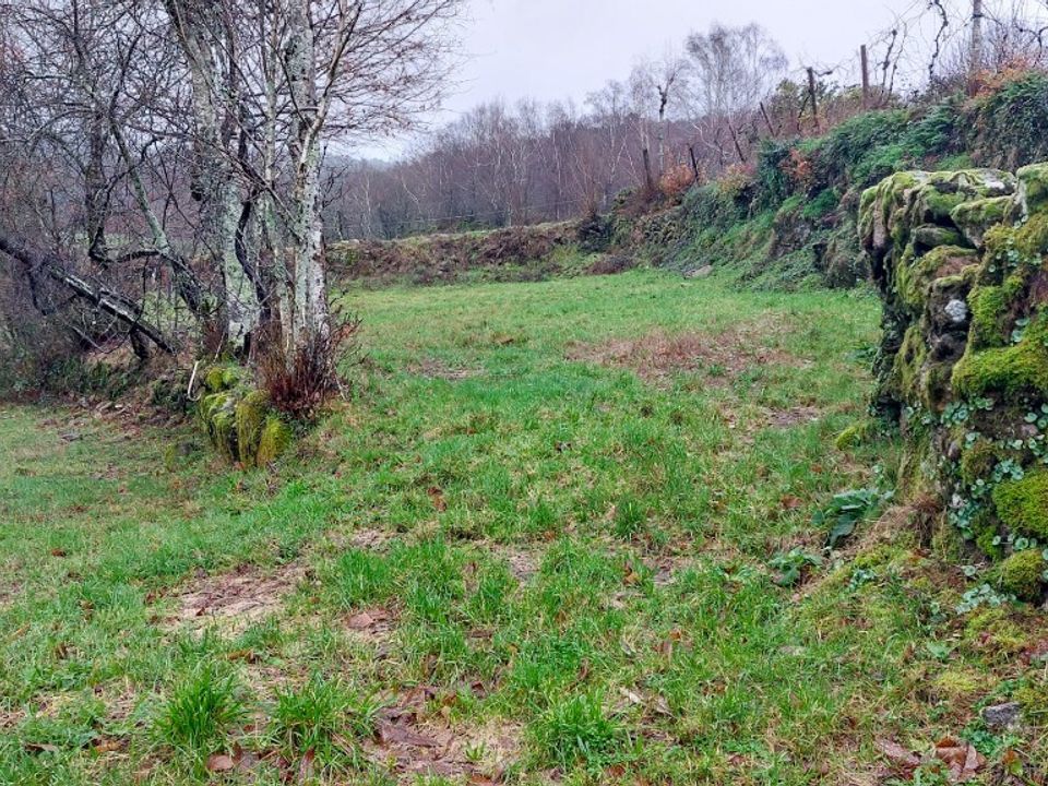 Helårsgrund i Vieira do Minho, Braga - foto 1