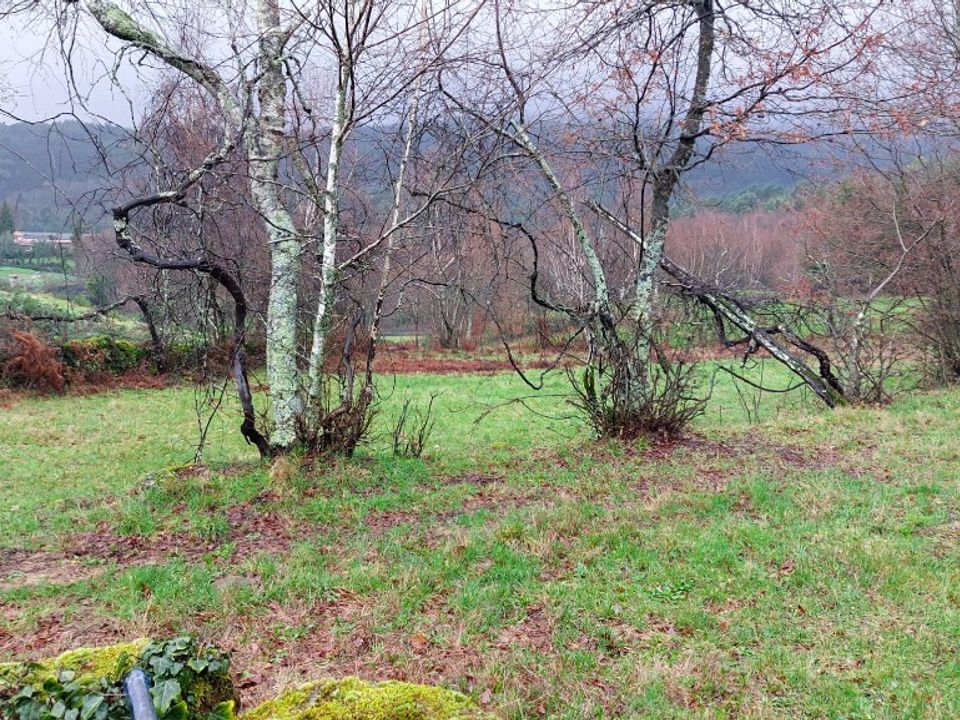 Helårsgrund i Vieira do Minho, Braga - foto 3
