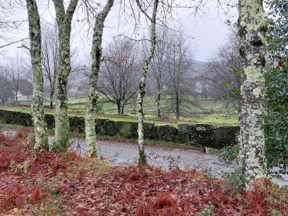 Helårsgrund i Vieira do Minho, Braga - foto 1