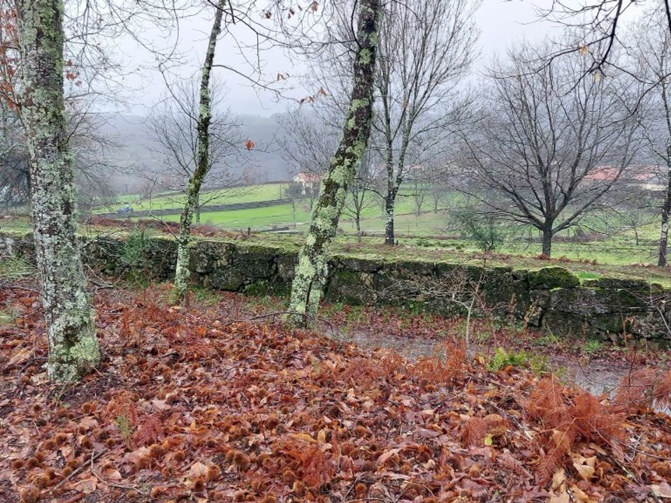 Helårsgrund i Vieira do Minho, Braga - foto 2
