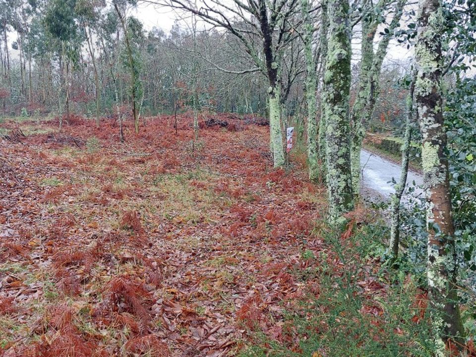 Helårsgrund i Vieira do Minho, Braga - foto 4