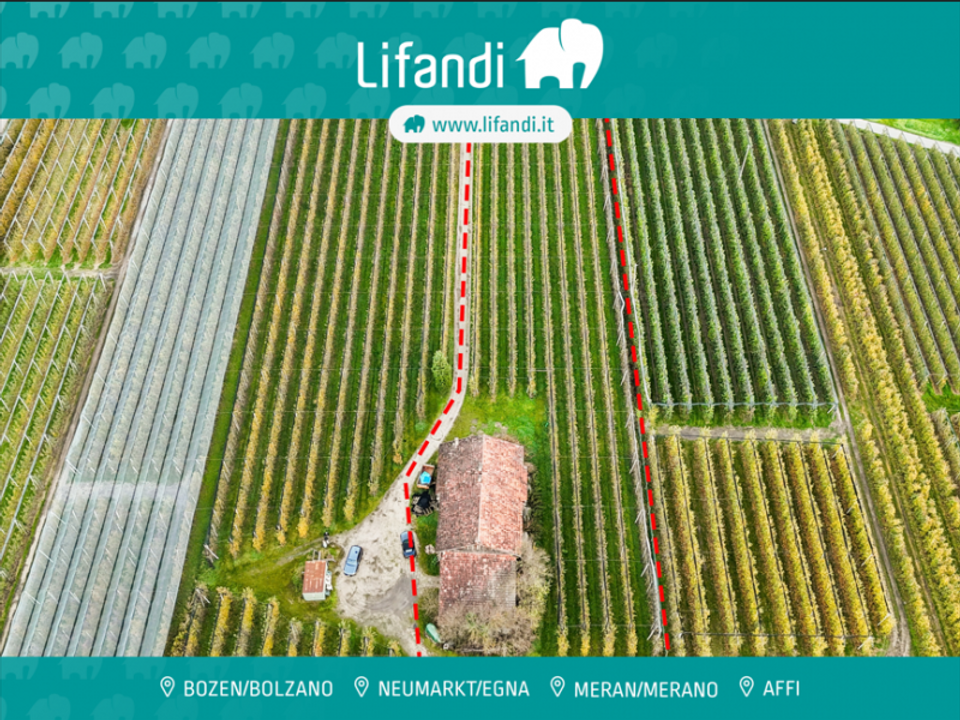 Villa i Caldaro sulla Strada del Vino, South Tyrol - bilde 1