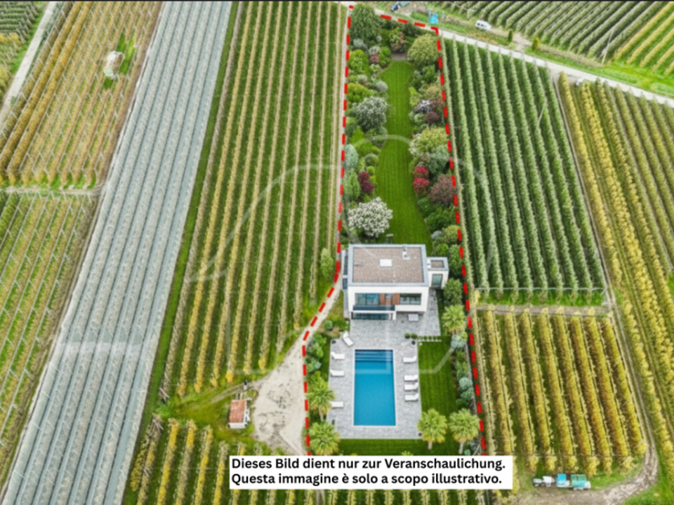 Villa i Caldaro sulla Strada del Vino, South Tyrol - bilde 3