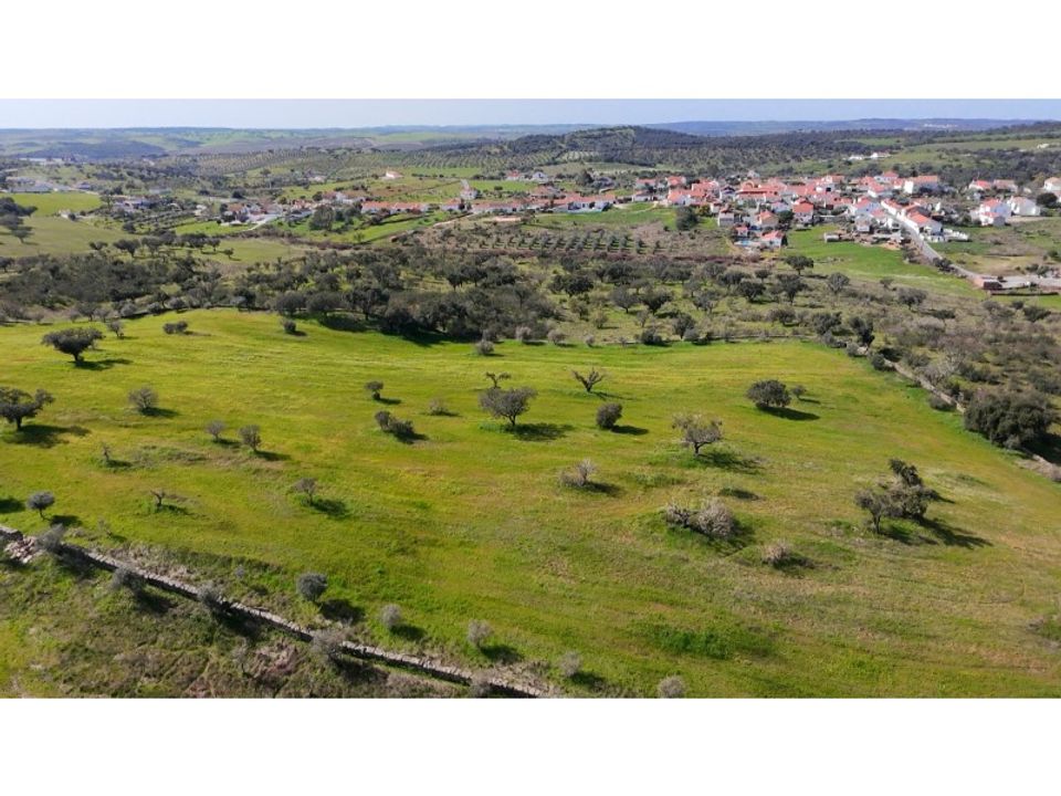 Helårsgrund i Alandroal, Evora - foto 3