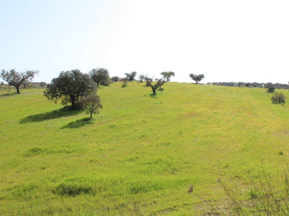Helårsgrund i Alandroal, Evora - foto 4