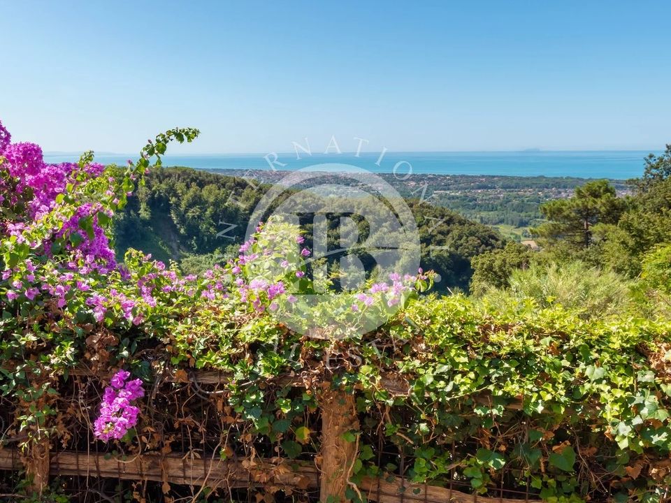 Villa i Forte dei Marmi, Lucca - foto 5
