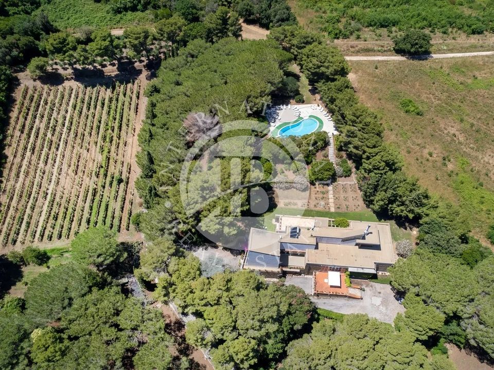 Villa i Piombino, Livorno - foto 1