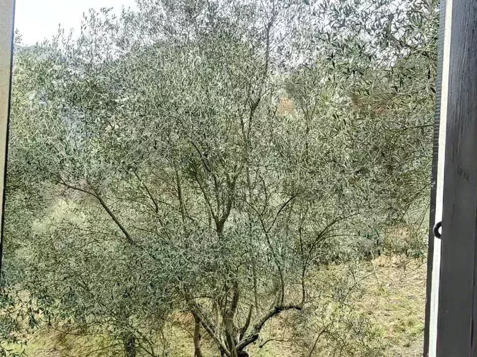 Helårsgrund i Breil-sur-Roya, Alpes-Maritimes - foto 2