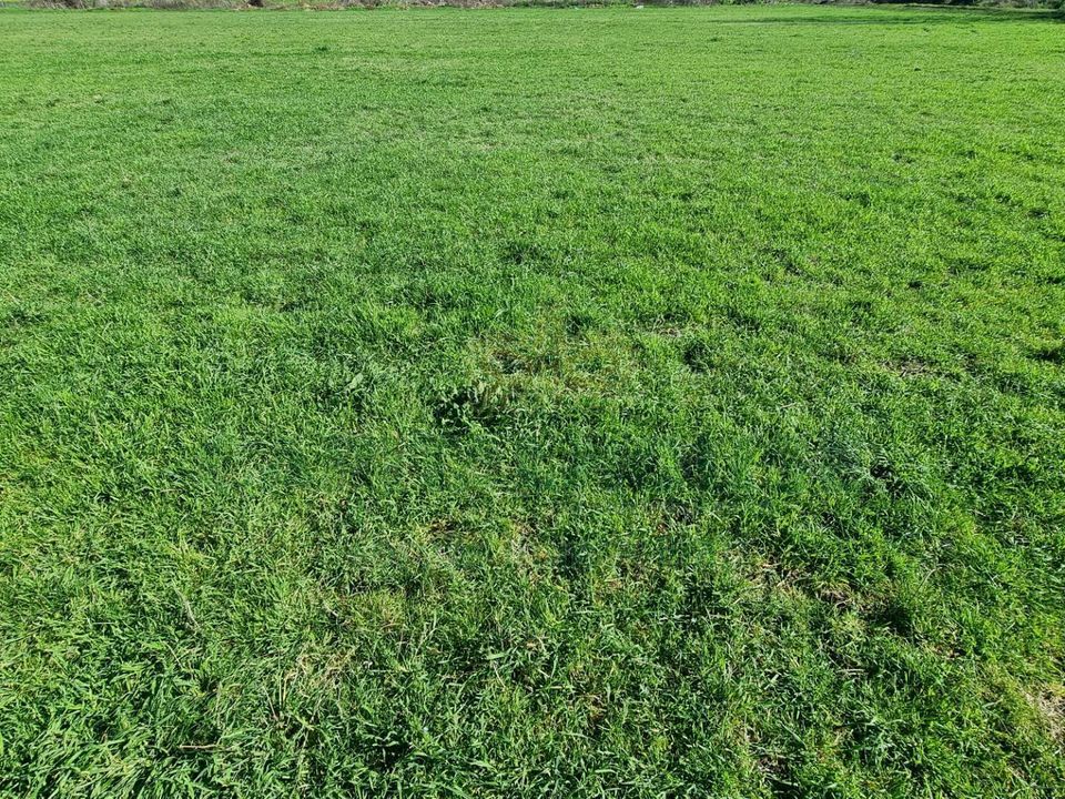 Helårsgrund i Marcianise, Caserta - foto 1