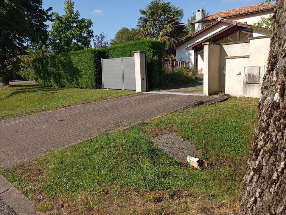 Studio i Pessac, Gironde - bilde 1