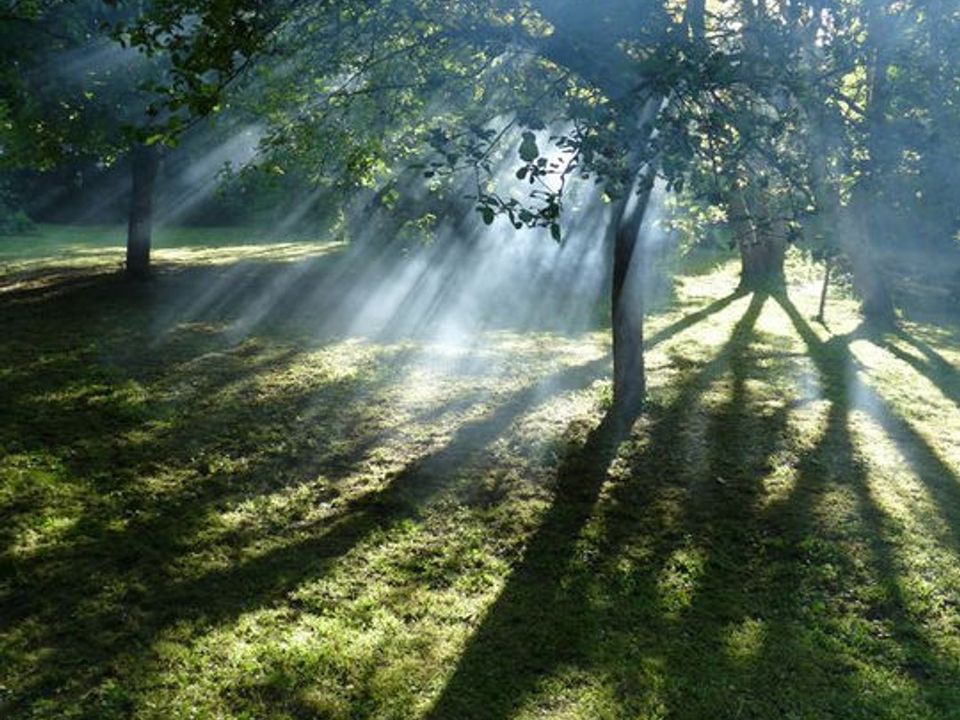 Helårsgrund i Villiers-sur-Morin, Seine-et-Marne - foto 2