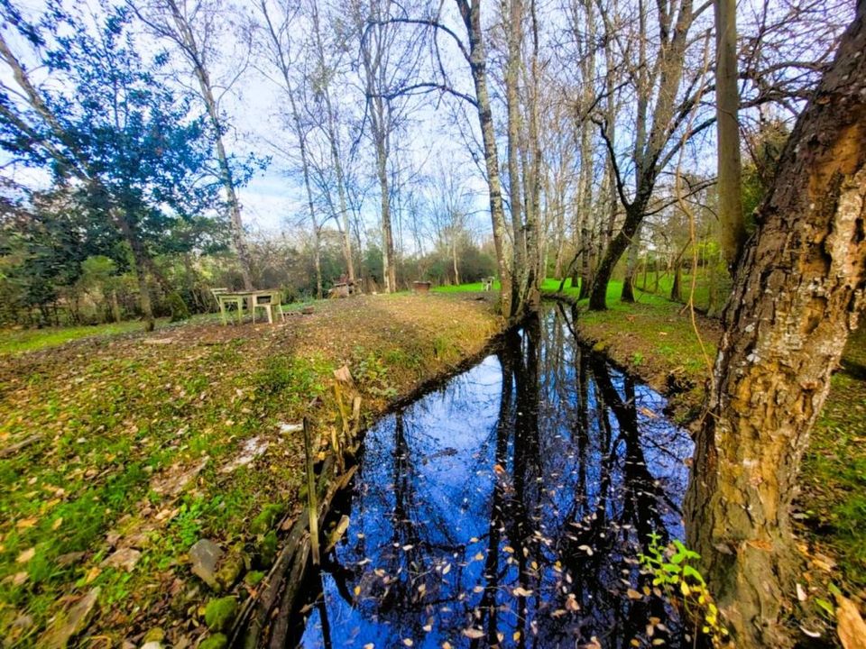 Villa i Jonzac, Charente-Maritime - foto 3