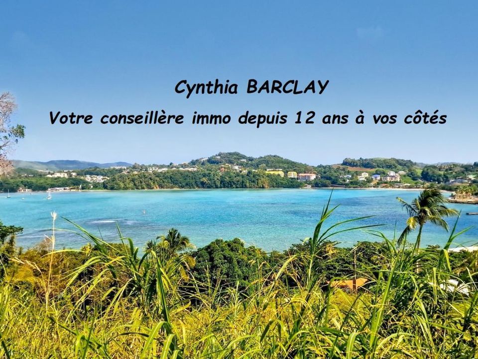 Terra em La Trinite, Martinique - foto 1