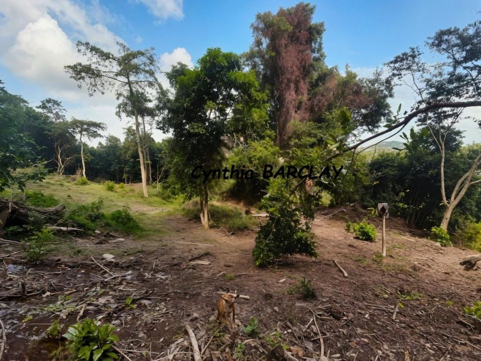 Terra em La Trinite, Martinique - foto 3