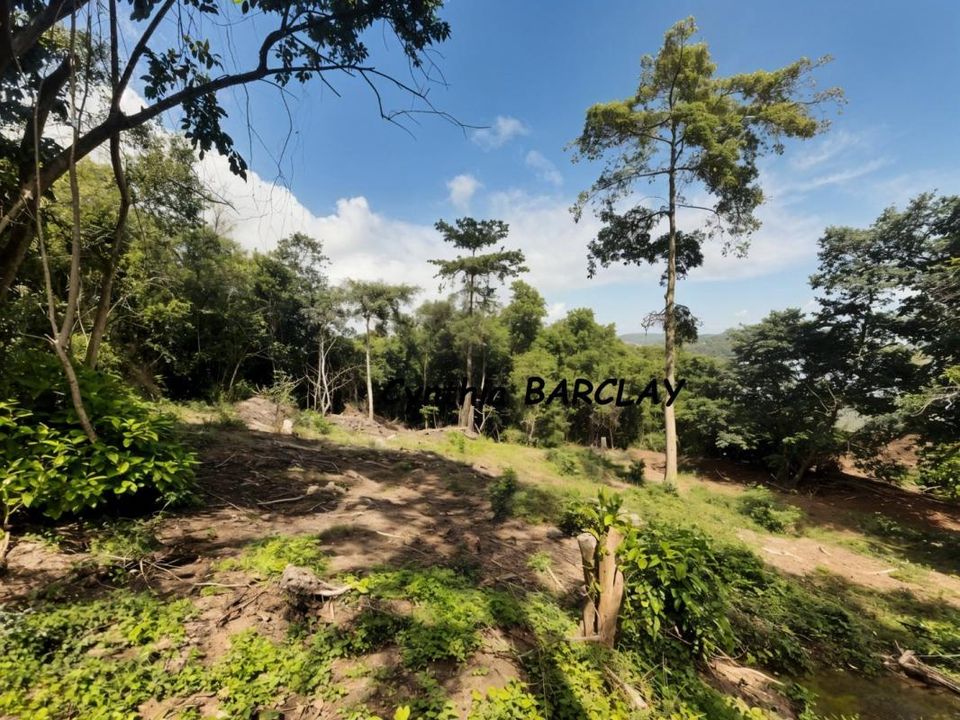 Terra em La Trinite, Martinique - foto 4