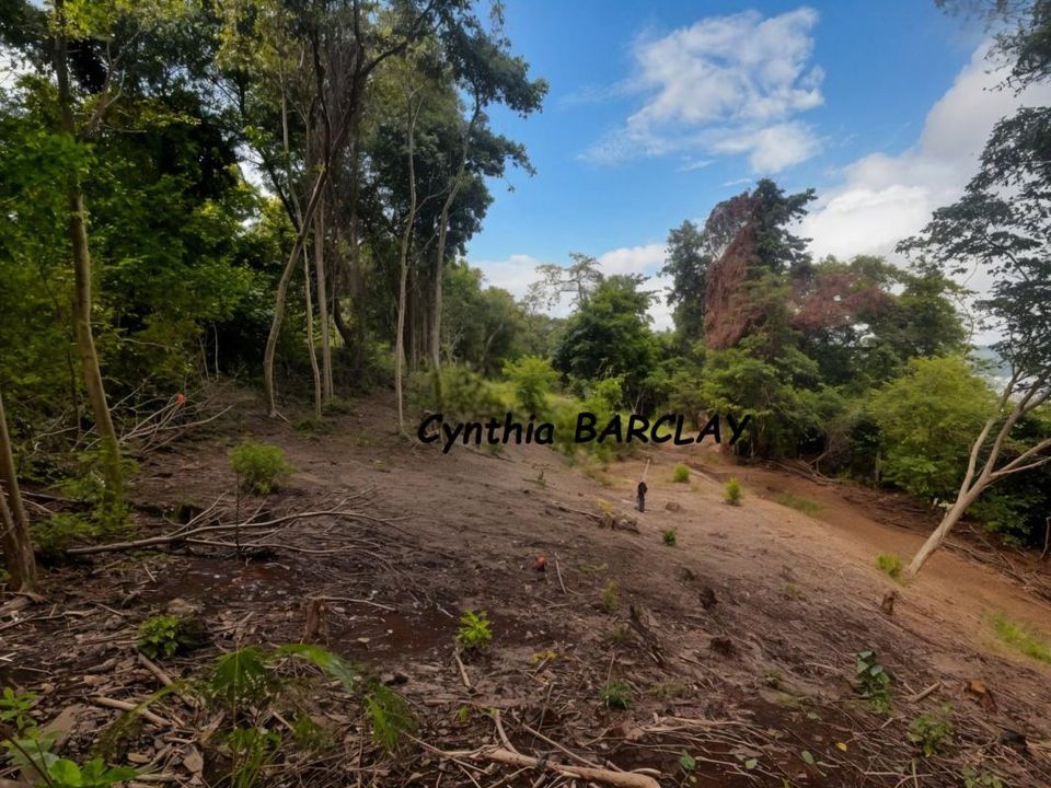 Terra em La Trinite, Martinique - foto 5