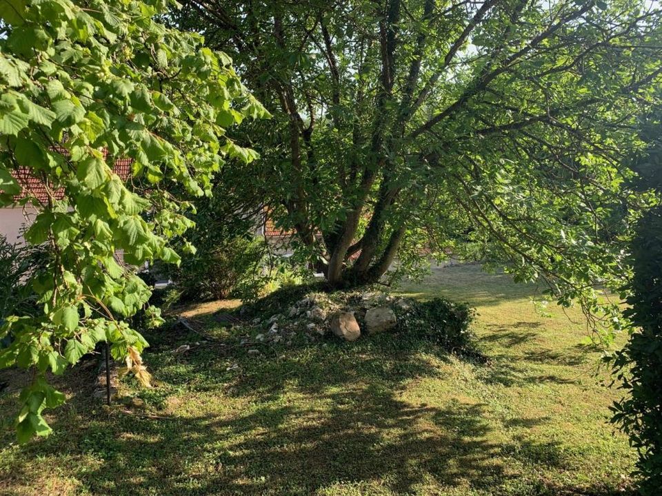 Helårsgrund i Belleau, Aisne - foto 5